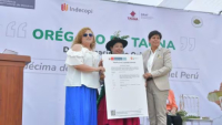 Indecopi entrega nueva denominación de origen peruana “Orégano de Tacna”
